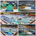 معاون درمان دانشگاه علوم پزشکی شیراز؛ راه اندازی فوری نخستین بیمارستان پشتیبان با 60 تخت بستری ظرف 24 ساعت آینده در شیراز