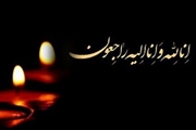 پیام تسلیت معاون دانشگاه علوم پزشکی شیراز در پی درگذشت استاد دکتر «ذاکری نیا»